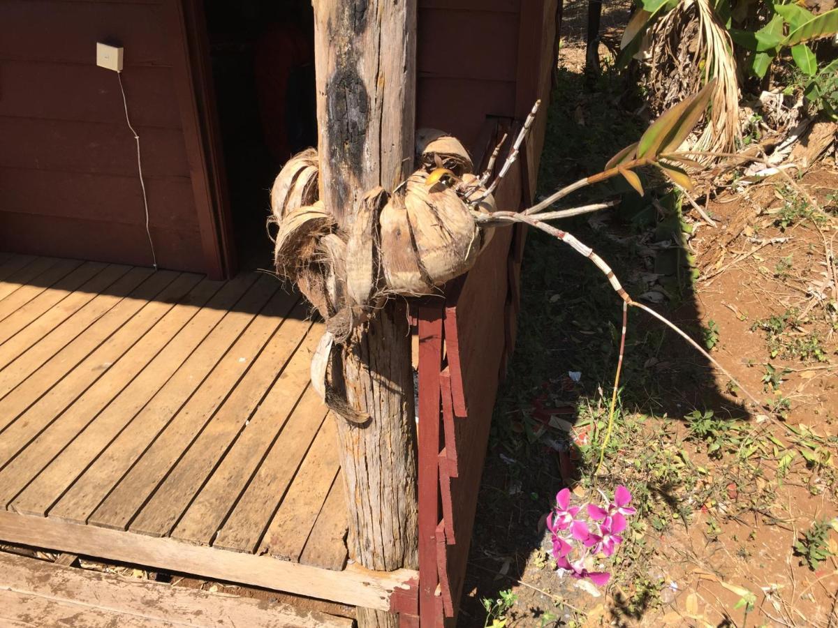 Tree Lodge Sen Monorom Eksteriør billede